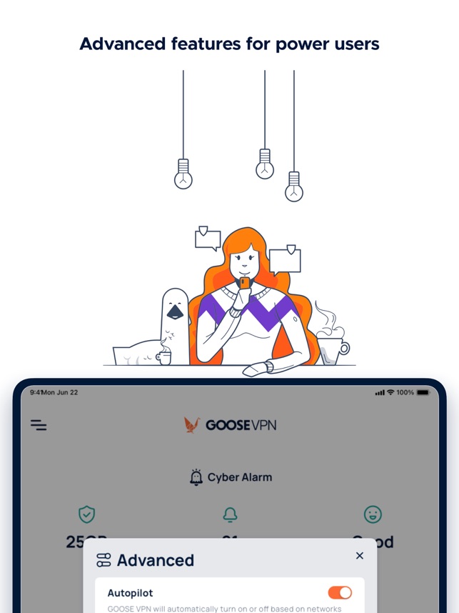 Goose Vpn Features